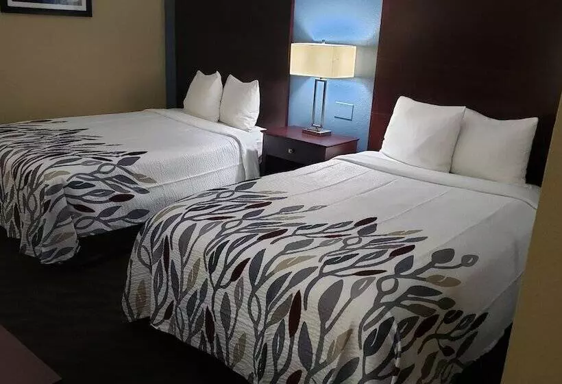 デラックスルーム, Red Roof Inn Port Allen