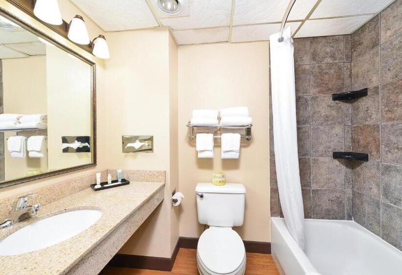 חדר סטנדרט, Revel Hotel Minot   Surestay Collection By Best Western