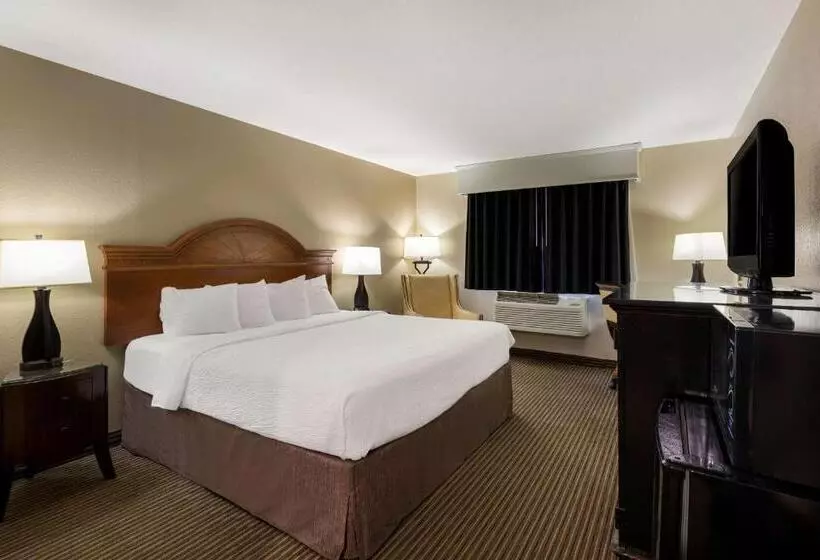 身障者適用キングサイズベッドルーム, Revel Hotel Minot   Surestay Collection By Best Western