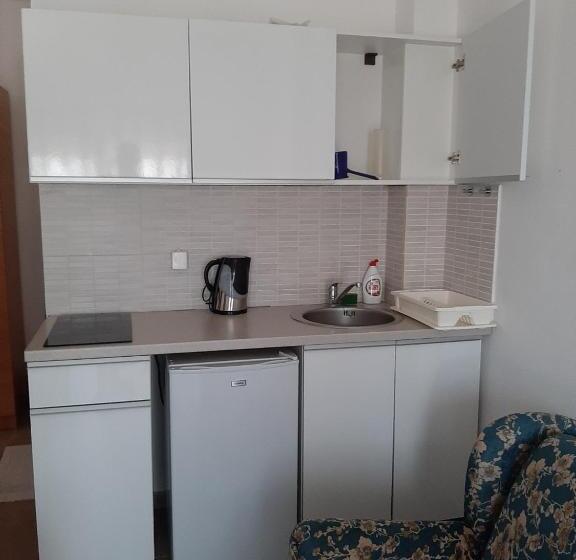 اتاق لوکس سه تخته, Apartment's Meti