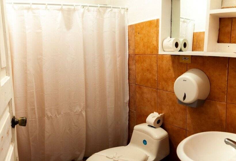 スタンダードルーム, Mermaids