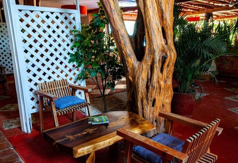 スタンダードルーム, Mermaids