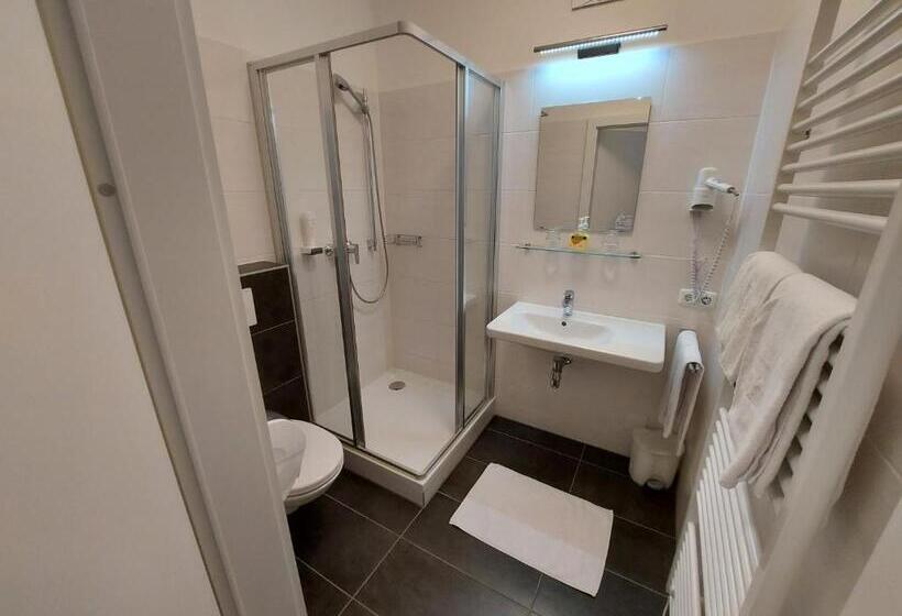 غرفة قياسية فردية, Wollsdorferhof