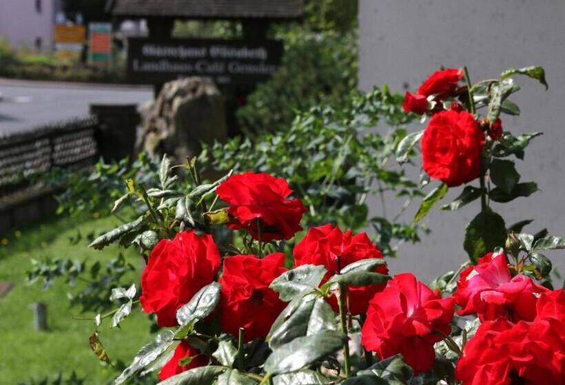 Номер Стандарт, Gästehaus Elisabeth