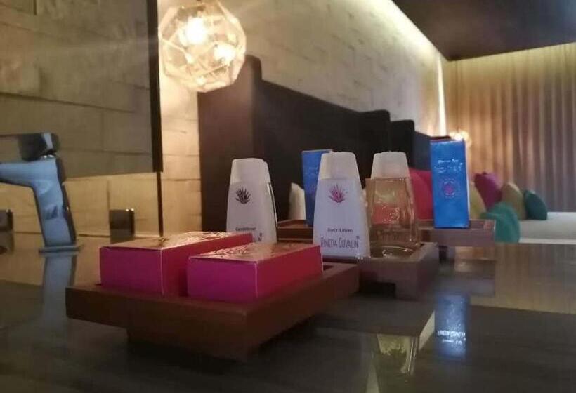 小型豪华套房, Beló Isla Mujeres All Inclusive