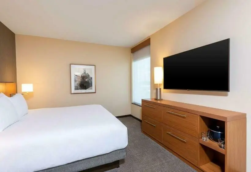 キングサイズベッドのスタンダードルーム, Hyatt Place Flint/Grand Blanc