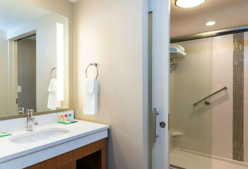 キングサイズベッドのスタンダードルーム, Hyatt Place Flint/Grand Blanc