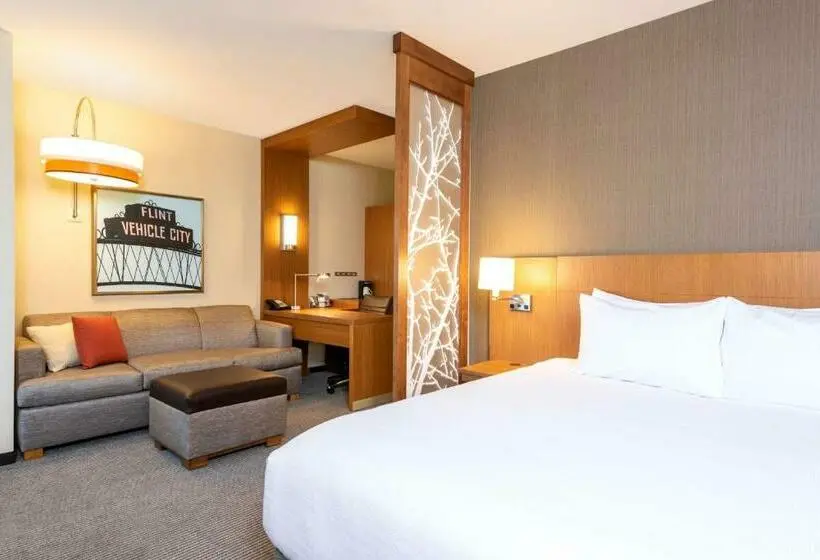 キングサイズベッドのスタンダードルーム, Hyatt Place Flint/Grand Blanc