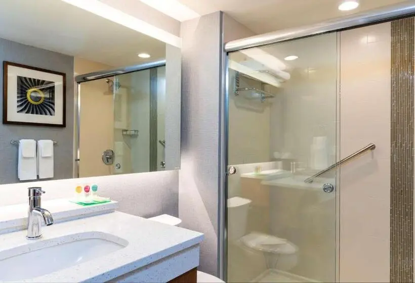 身障者適用キングサイズベッドルーム, Hyatt Place Flint/Grand Blanc