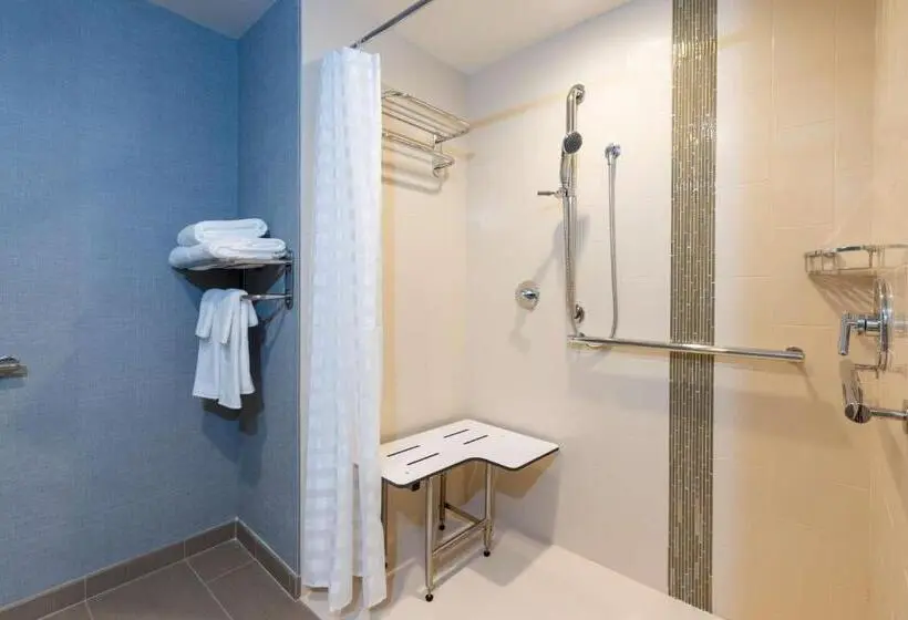 身障者適用キングサイズベッドルーム, Hyatt Place Flint/Grand Blanc