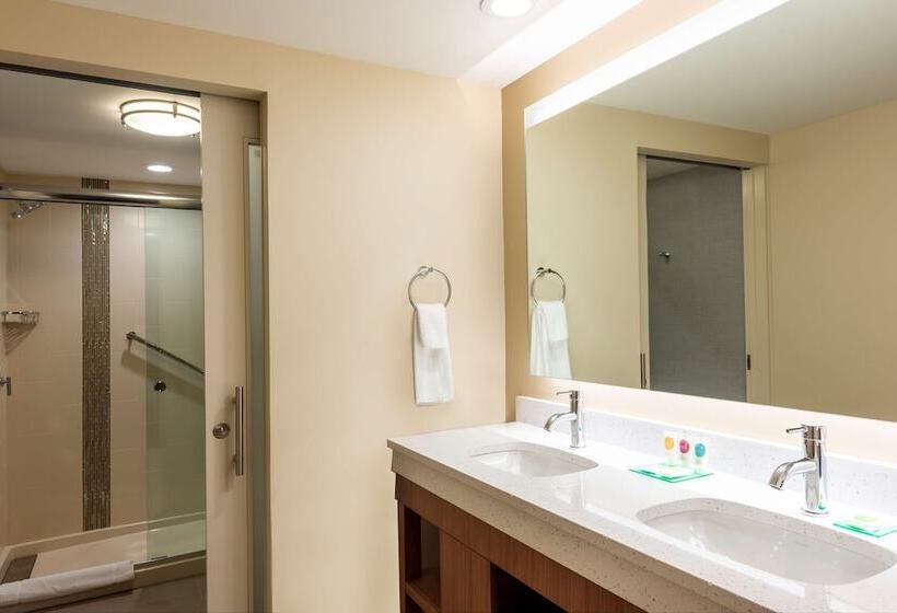 غرفة قياسية, Hyatt Place Flint/Grand Blanc