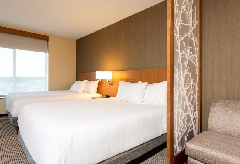 اتاق استاندارد, Hyatt Place Flint/Grand Blanc
