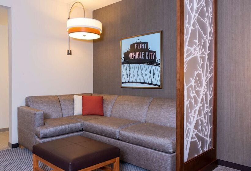 اتاق استاندارد, Hyatt Place Flint/Grand Blanc