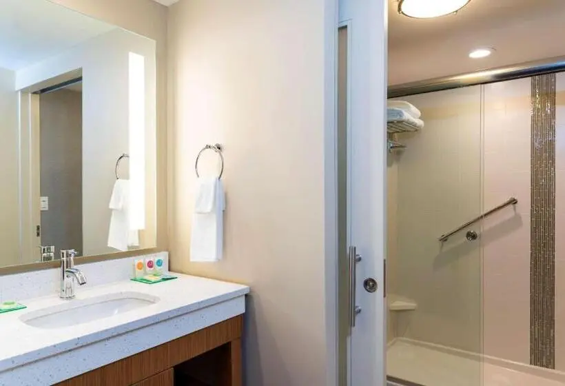 スタンダードルーム, Hyatt Place Flint/Grand Blanc