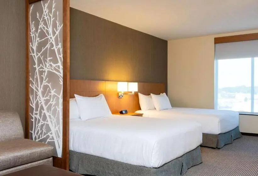 スタンダードルーム, Hyatt Place Flint/Grand Blanc