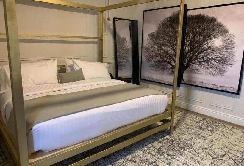 Номер Deluxe Кровать Кинг, Mansión E. Borbón