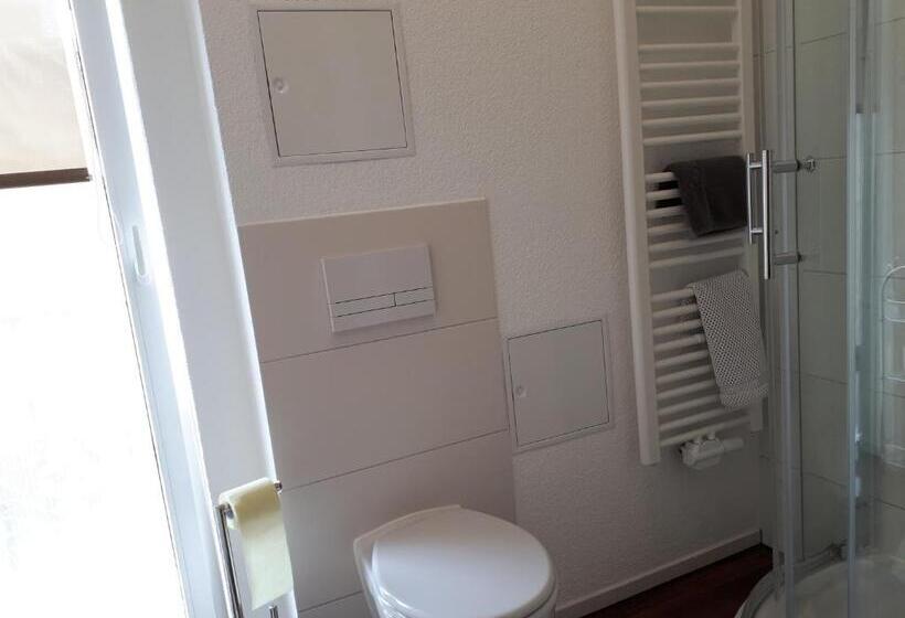 Standard Yhden Hengen Huone, City Pension Zwickau
