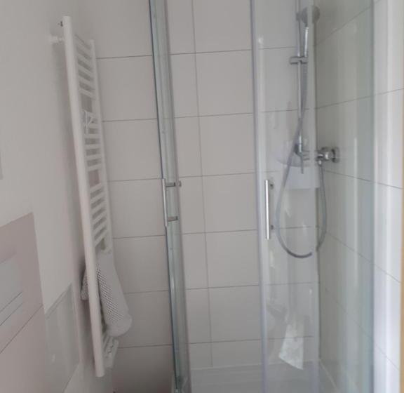 Standard Yhden Hengen Huone, City Pension Zwickau