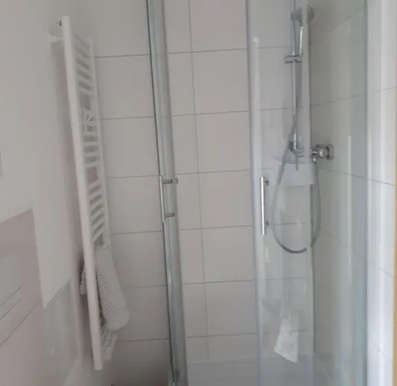 Standard Yhden Hengen Huone, City Pension Zwickau