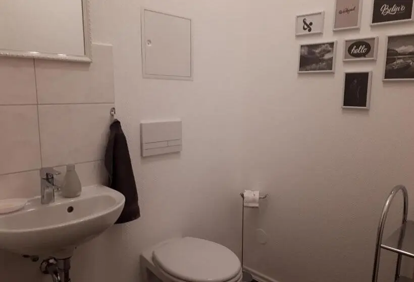 Standard Yhden Hengen Huone Jaettu Kylpyhuone, City Pension Zwickau