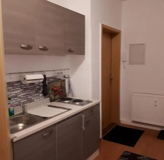 Sviitti 2 Makuuhuonetta, City Pension Zwickau