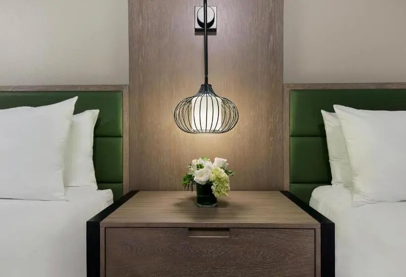 スイート, Oxford Suites Paso Robles