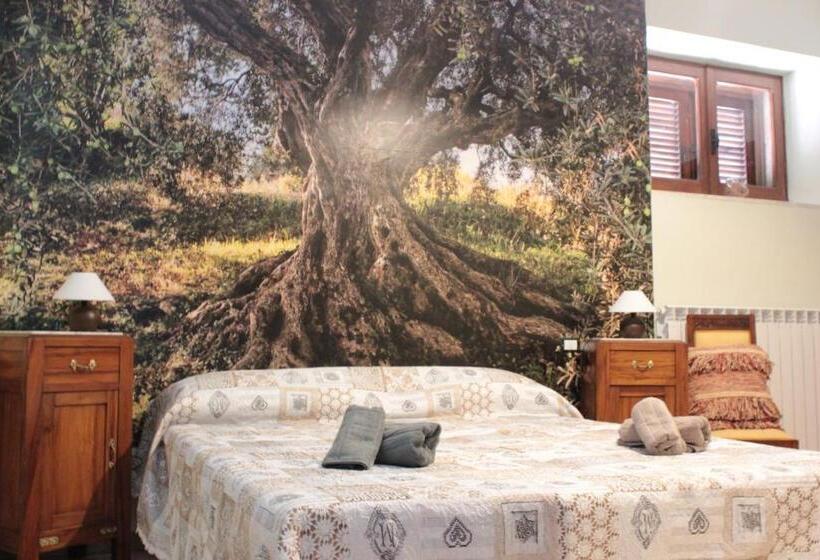 חדר סטנדרט, Adonis