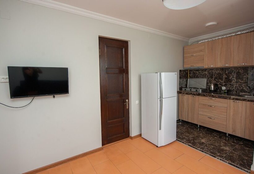 استودیوی استاندارد, Cosmos