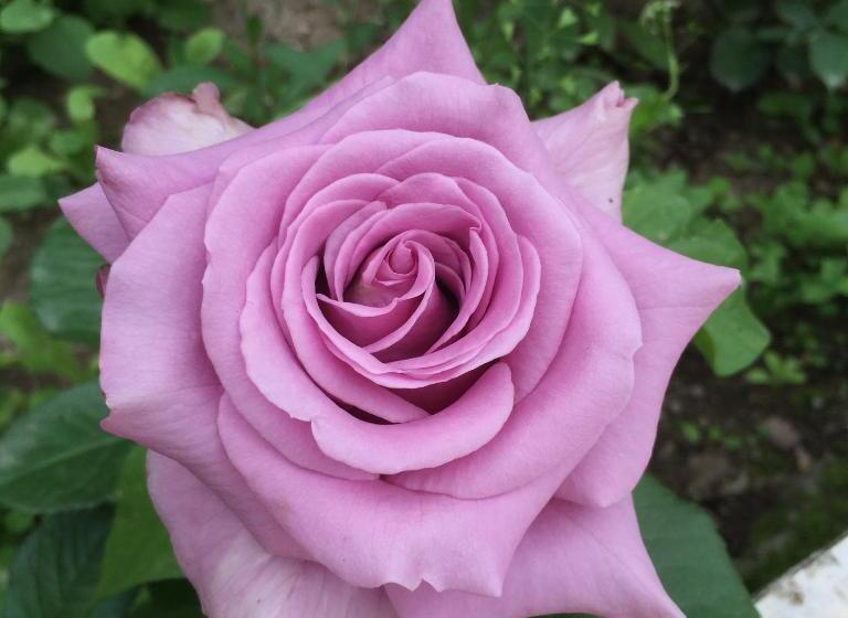 Семейный Номер, Eco Resort Lorret