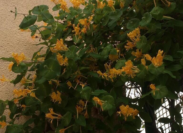 Семейный Номер, Eco Resort Lorret