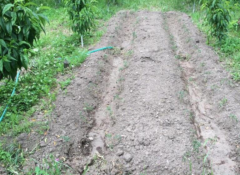 Семейный Номер, Eco Resort Lorret