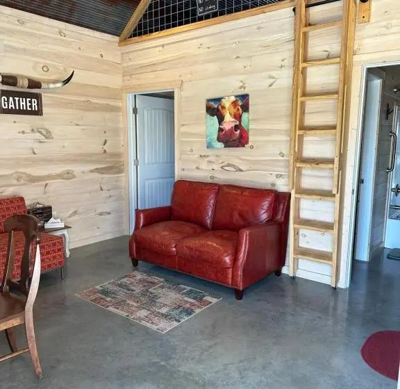 スタンダードルーム, Knotty Squirrel Cabins