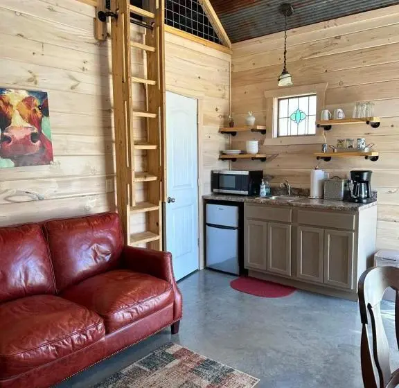 スタンダードルーム, Knotty Squirrel Cabins