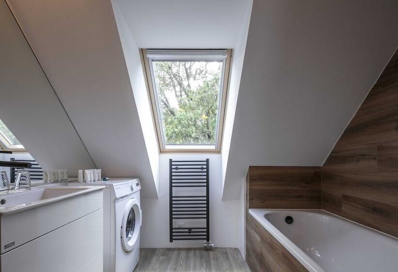 شقة ديلوكس غرفة واحدة, Pytloun Flat