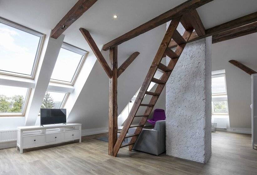 شقة ديلوكس غرفة واحدة, Pytloun Flat