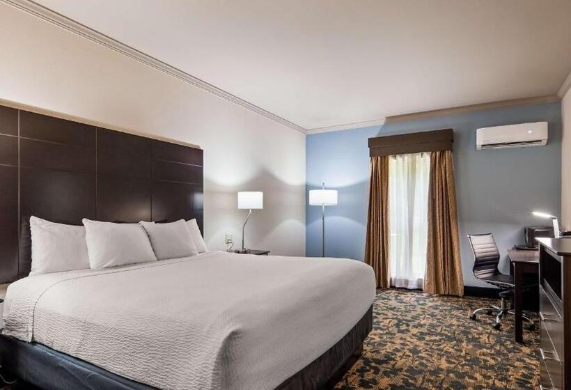 장애인을 위한 킹사이즈 침대 스탠다드 룸, Best Western Brentwood