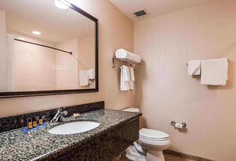 חדר סטנדרט, מיטת קינג, מותאם לאדם עם מוגבלויות, The Prussia Hotel, Bw Signature Collection