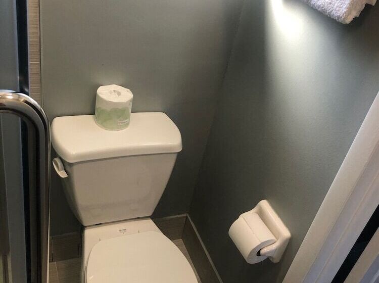 带2个双人床的标准工作室, Brandon Motor Lodge