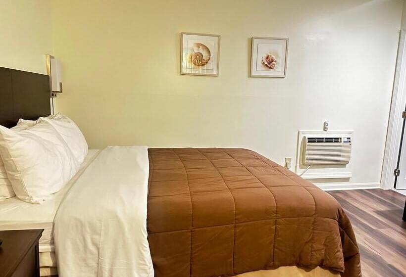Quarto Estandar, Blue Spruce