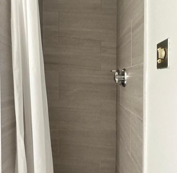 스탠다드 룸, Blue Spruce