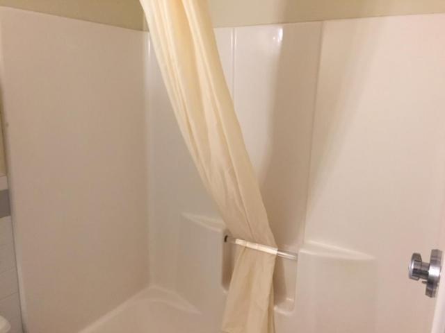 클래식 스튜디오, Blue Spruce