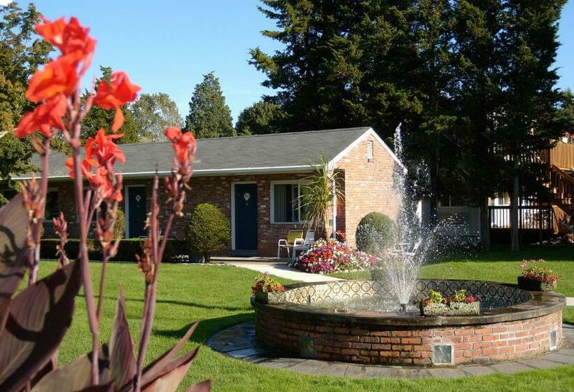 חדר סטנדרט, Breezeway Resort