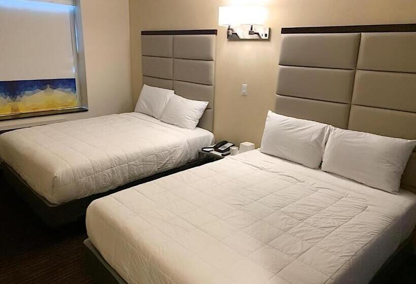 חדר דלוקס, 7 Days