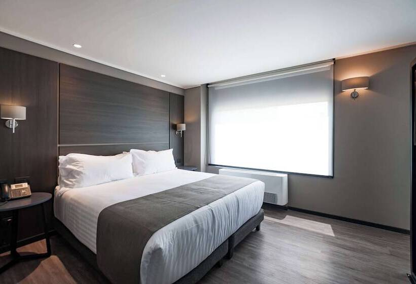 סוויטת ג'וניור, Ola Santiago Providencia, Tapestry Collection By Hilton