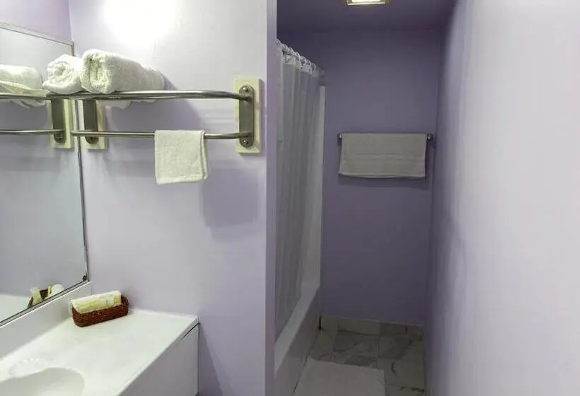 デラックスルーム, Des Plaines Motel