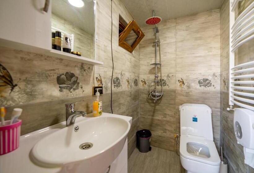 اتاق استاندارد سه نفره, Tsera House