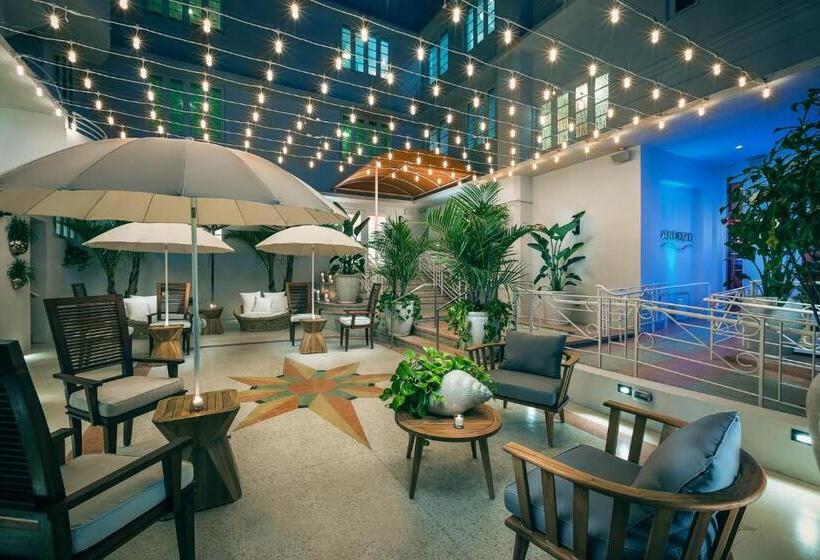 סוויטה מותאמת לאדם עם מוגבלויות, Cardozo