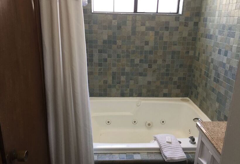 غرفة قياسية, Catalina Island Seacrest Inn