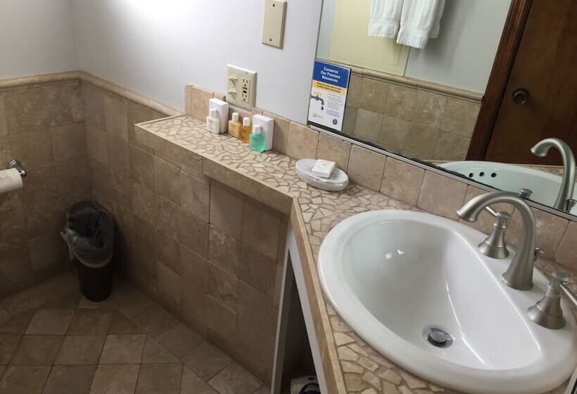 غرفة قياسية, Catalina Island Seacrest Inn