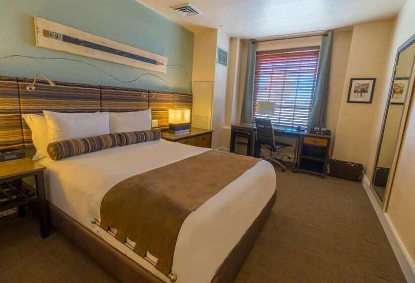 带特大床的标准间, Hilton Motif Seattle